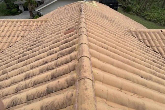 What To Do If Your Roof Has Damage