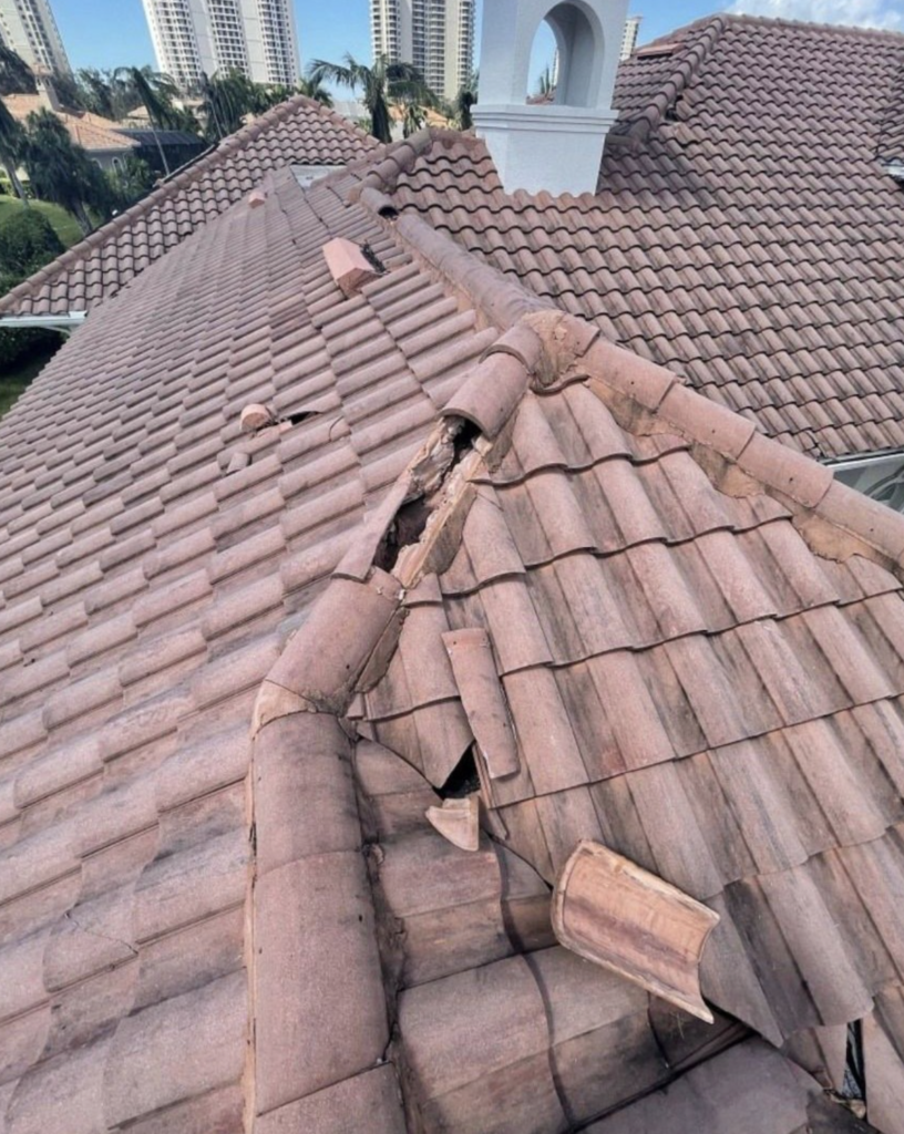 roofing-florida-mold