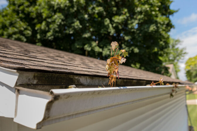 What’s Hiding Behind Your Bad Gutters?