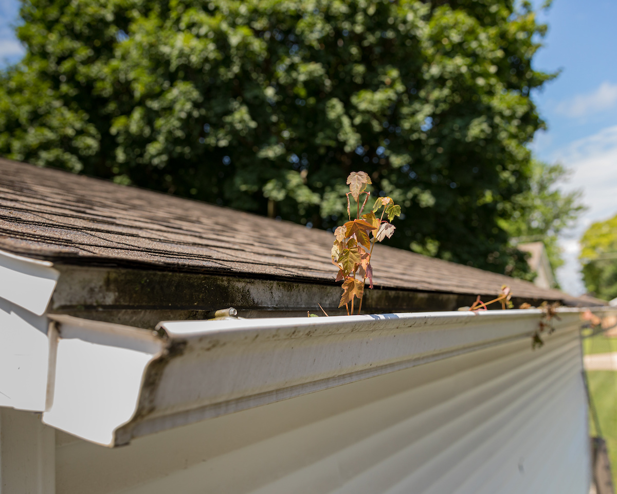 What’s Hiding Behind Your Bad Gutters?