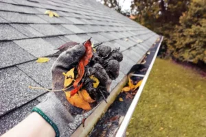 Gutters & leaf protection