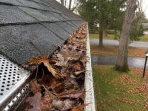 Leaf and debris control